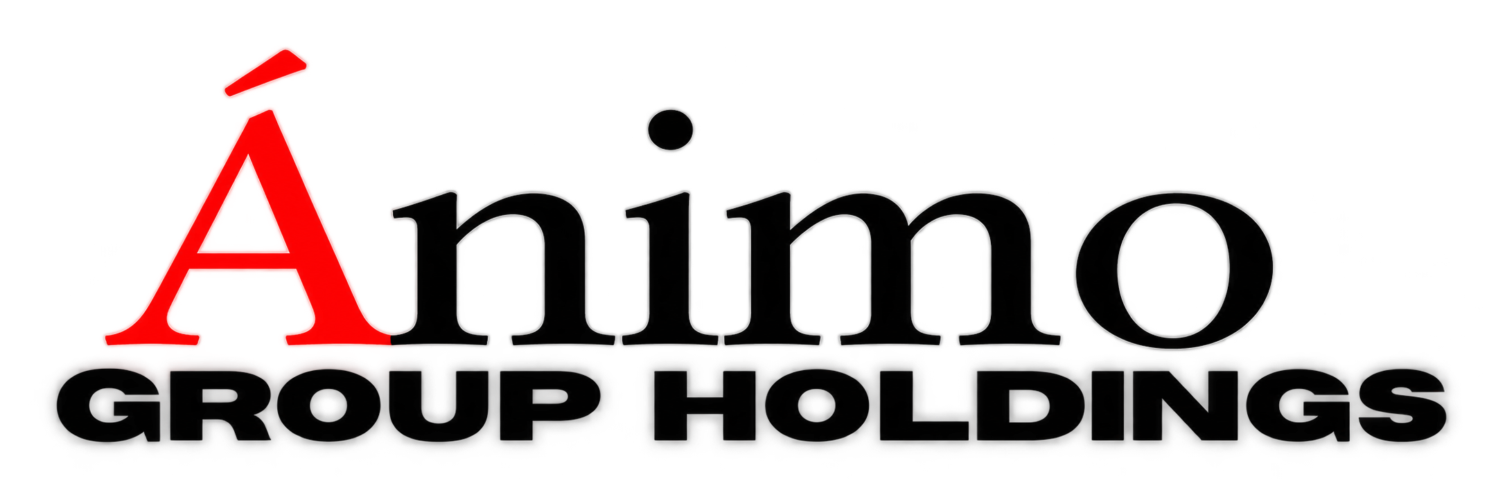 Animo Group Holdings Logo